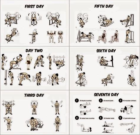 Muscle Building Workouts #workout #musclebuilding #fitness #health ...