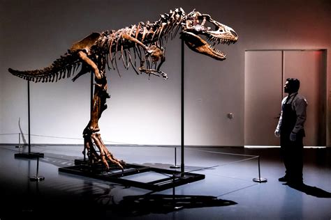 T. rex’s fancy footwork owed to special ligaments, study finds – 1992 Daily