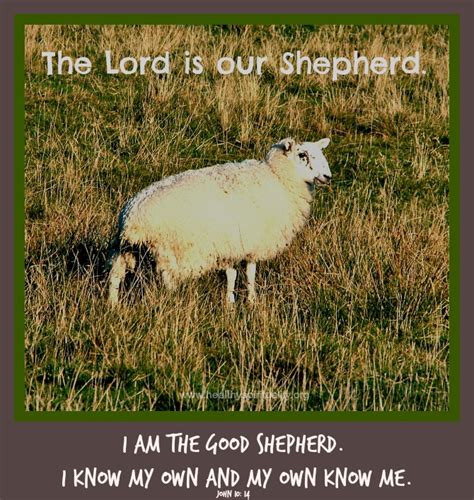 The Good Shepherd | Healthy Spirituality