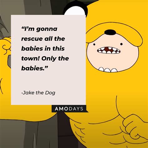 35 Jake the Dog Quotes That All Adventure Time Fans Will Love