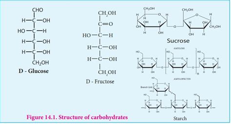 Carbohydrates Structure