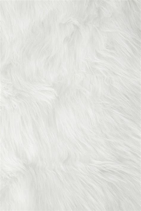 White Fur Wallpapers - Top Free White Fur Backgrounds - WallpaperAccess