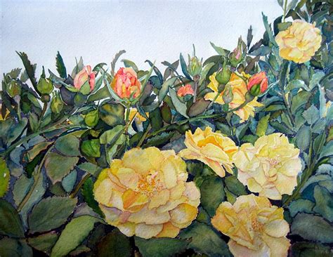 Field of Roses Painting by Joann Perry - Fine Art America