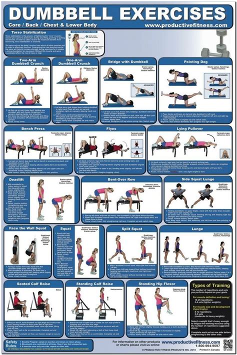 30 Minute Home Dumbbell Workout Plan No Bench for Push Pull Legs ...