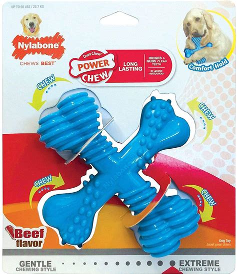 Nylabone Reviews 2023: Safest Dog Chew Toys Yet [or Worst]?