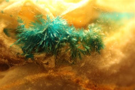 Copper (II) chloride crystals. Close up camera shots. : crystalgrowing