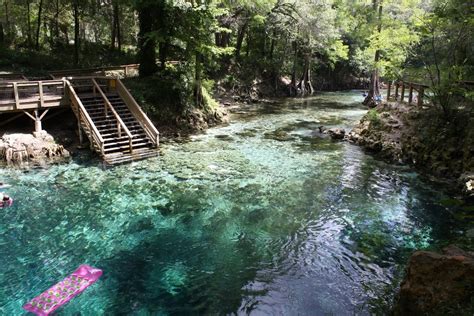 The Dynamic Withlacoochee River | Florida State Parks