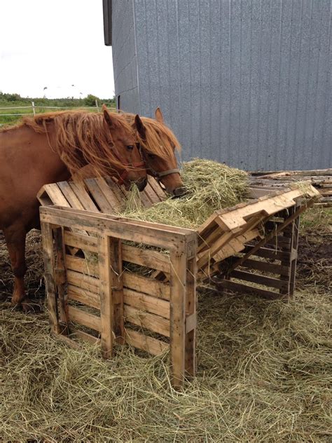 Horse feeder made from old pallets | Horse feeder, Hay feeder for ...