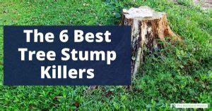 The Best Stump Killer: 6 Products to Remove Tree Stumps Fast - The ...