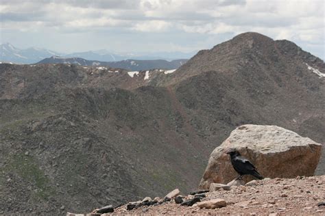 Arapaho National Forest | Raven About The Parks | Raven About The Forests