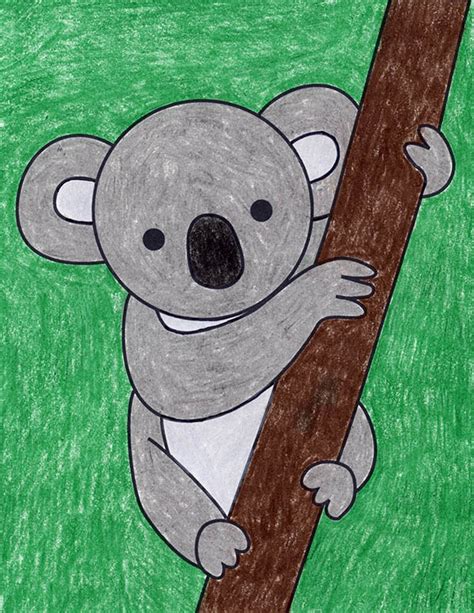 Koala Bear Drawing Step By Step