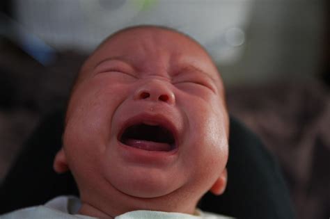 Do babies cry at night to prevent their parents from having more kids ...