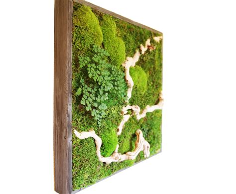 15 Spectacular Moss Wall Art Designs That Redefine The Living Wall Concept