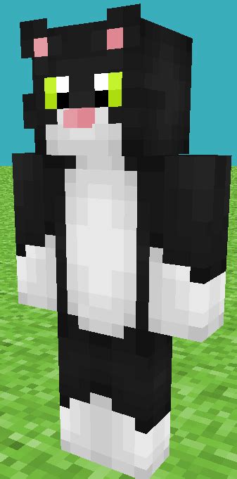 Tuxedo Cat Minecraft Skin