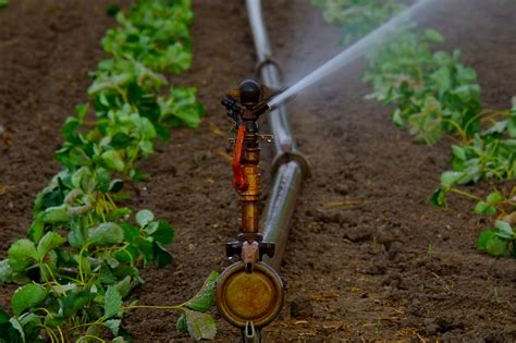 10 components of an irrigation system - Farm and Dairy