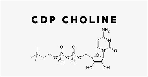 CDP Choline: Uses, Side Effects, Interactions, Dosage and Supplements