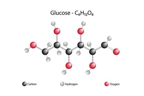 3d representation of carbohydrate