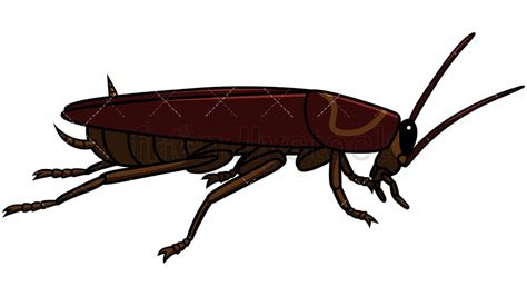 Side View Cockroach Cartoon Vector Clipart - FriendlyStock