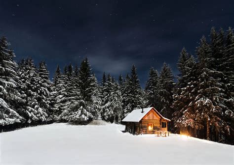 Free winter night cabin snow fir trees - Image