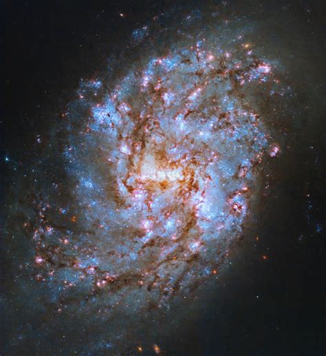 Hubble Snaps Close-Up of NGC 1087 | Sci.News