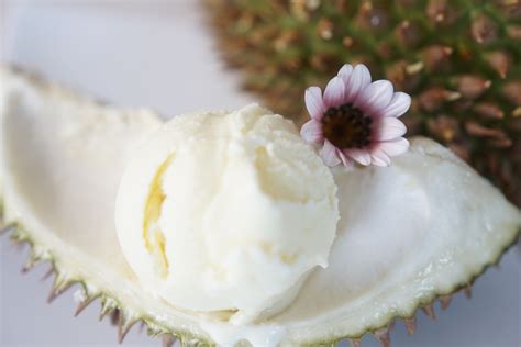 Durian Ice Cream – Ant's Ice Cream