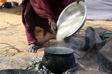 Mali: AfDB supports food security projects with 16.8 million Euros ...