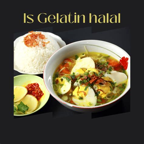 Is Gelatin Halal? Here Is A Clear Answer