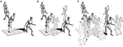 Frontiers | Athletes with high knee abduction moments show increased ...