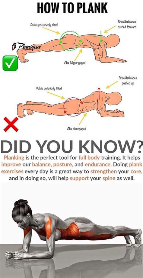 Happens to Your Body When You Do Planks Every Day | Online workouts ...