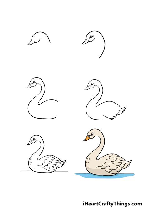 Swan Drawing Step By Step