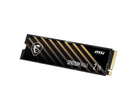 SPATIUM M461 PCIe 4.0 NVMe M.2