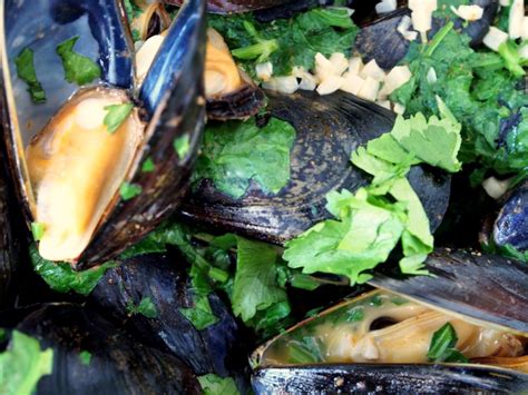 STEAMED MUSSELS WITH THAI SPICES – The Weathered Grey Table