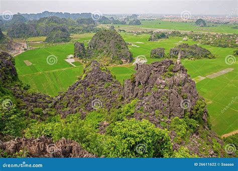 Rice plantations stock photo. Image of vietnam, rice - 26611622