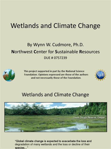 Wetlands and Climate Change | PDF | Wetland | Sea Level Rise