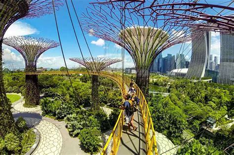 Singapur’un peyzaj harikası: Gardens by the Bay