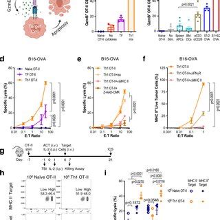 MHC II aAPCs promote CD4⁺ T cell cytotoxicity a Schematic of direct ...