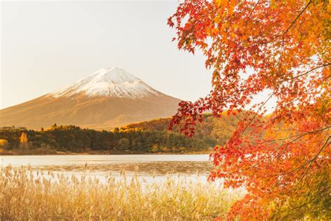 The Ultimate Guide to The Fuji Five Lakes | Japan Wonder Travel Blog