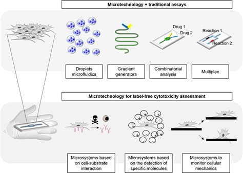 Frontiers | Advances in Microtechnology for Improved Cytotoxicity ...