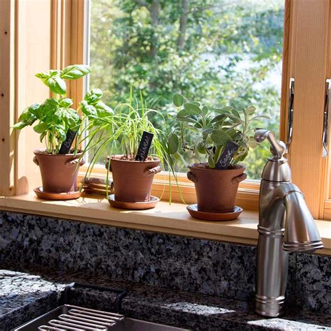 10 Best Herbs Grow In Indoor Pots In Your Kitchen Garden Windowsill ...