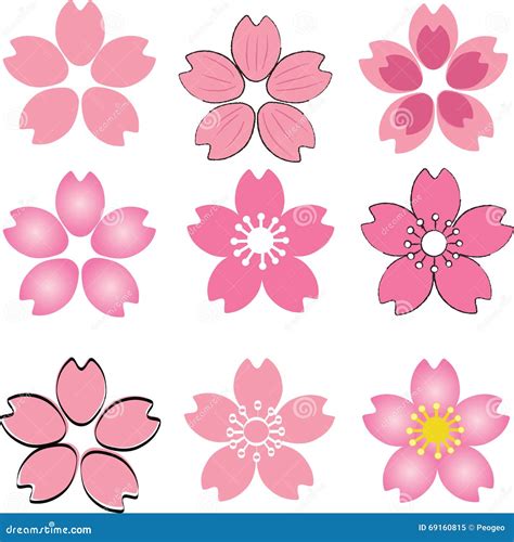 Pink Cherry Blossom Flower Set Vector with Many Style Include D Stock ...