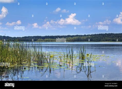 Aukstaitija National Park, Lithuania Stock Photo - Alamy