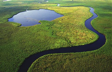 Botswana Delta Okavango : Visiting Botswana's Okavango Delta ...