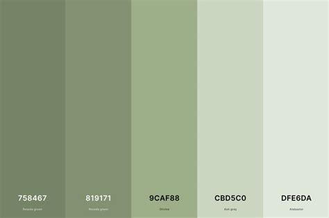 the color scheme is green and has different shades