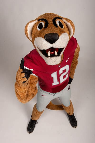 Cougar Spirit | Brelsford WSU Visitor Center | Washington State University