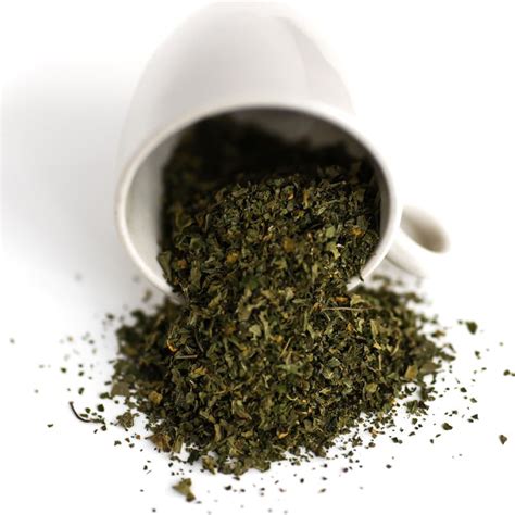 Nettle Tea | Panacea Natural Health, Hokitika