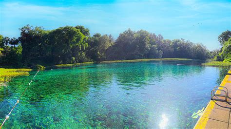 Rainbow Springs State Park, Florida