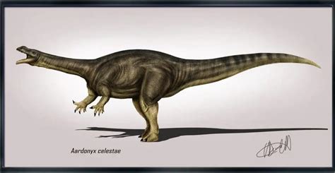 Fun Facts about Aardonyx - Dinosaur Facts