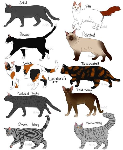 Cat Fur Patterns by Nixhil on DeviantArt | Cat fur, Rare cats, Cat ...