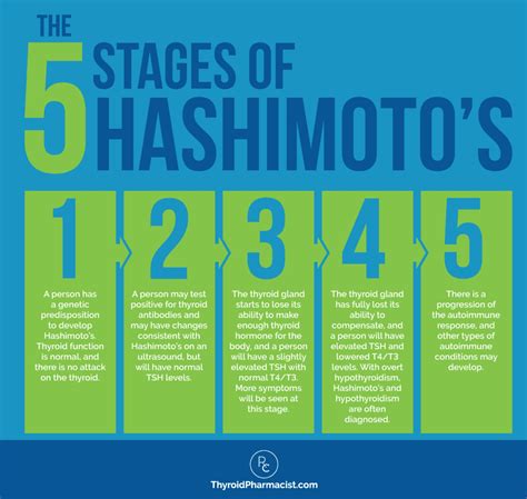 The 5 Stages of Hashimoto’s Thyroiditis – New Dental Residency