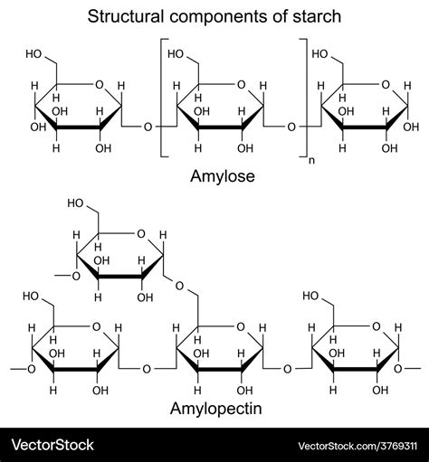 Structural components of starch -chemical formulas